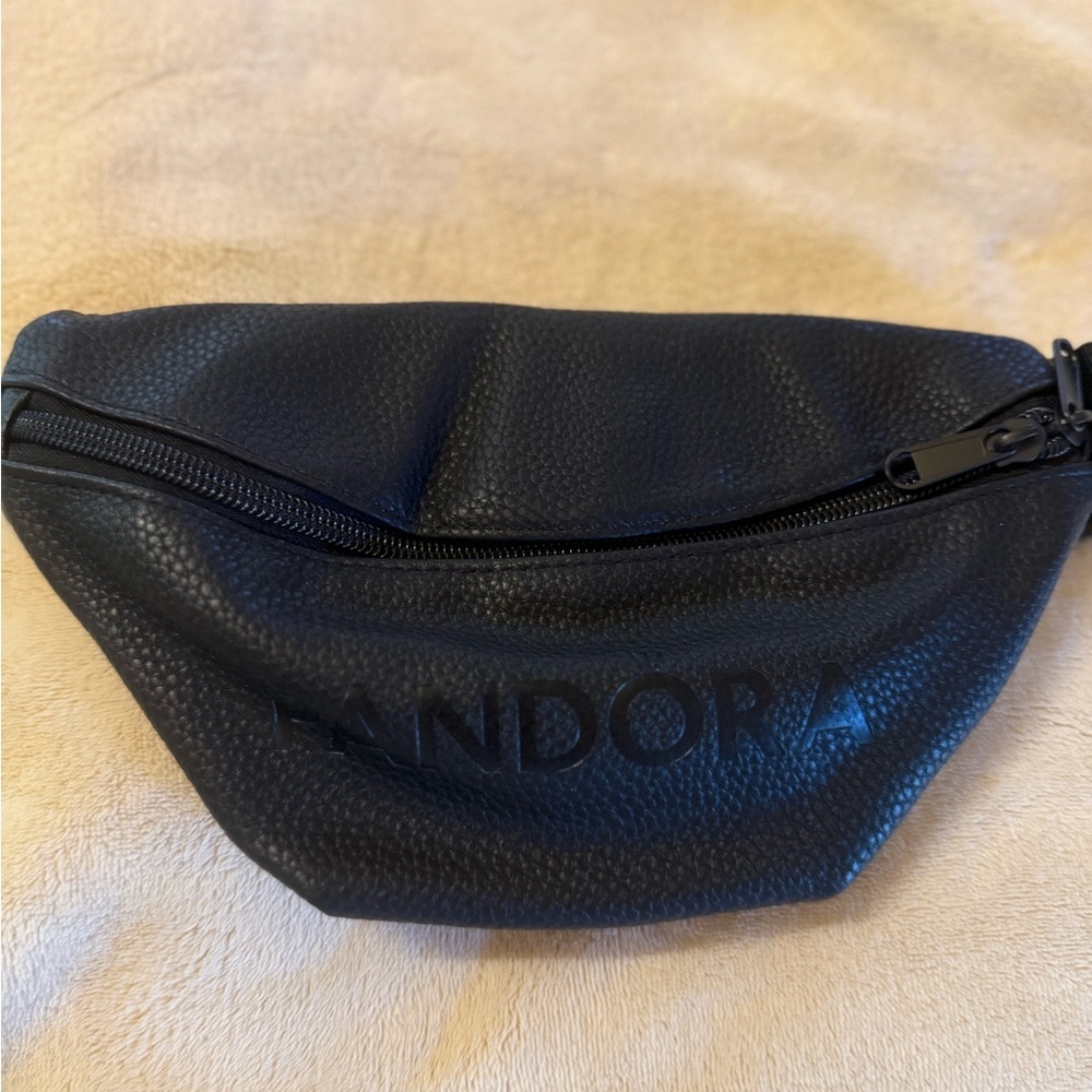 Pandora Black Textured Leather Bag